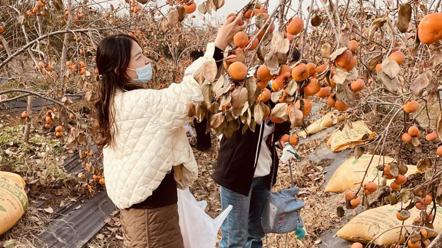 公司工會(huì)組織開(kāi)展生態(tài)果蔬采摘活動(dòng)